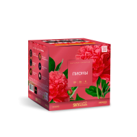 Пионы Салют купить в Казани | kazan.salutsklad.ru