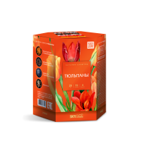 Тюльпаны Салют купить в Казани | kazan.salutsklad.ru