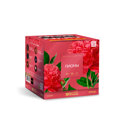 Пионы Салют купить в Казани | kazan.salutsklad.ru